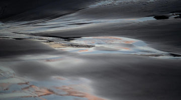 ALLUVION by Jack Bailey - Feels Botanical
