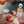 Load image into Gallery viewer, Feels Botanical Revel, Eau De Vie Grape Spirit 33% abv