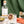Load image into Gallery viewer, Feels Bask and Soda cocktail made with Bask Eau De Vie Spirit by Feels Botanical, showcasing its earthy & smooth tequila-like essence