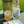 Load image into Gallery viewer, Feels Vivify x Mindful mixers x garnish game cocktails pack. 

